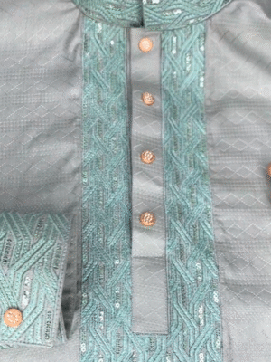 Olive Panjabi with Sequin Embroidery